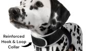 Waterproof Mini Portable Pet GPS GSM Tracker Realtime Area Tracking Size:XS